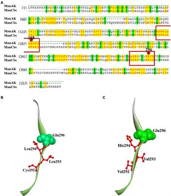 Improvement of the Catalytic Ability of a Thermostable and Acidophilic β-Mannanase Using a Consensus Sequence Design Strategy